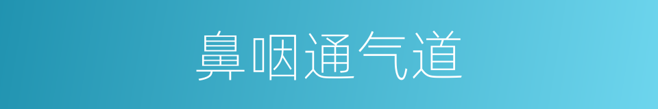 鼻咽通气道的同义词