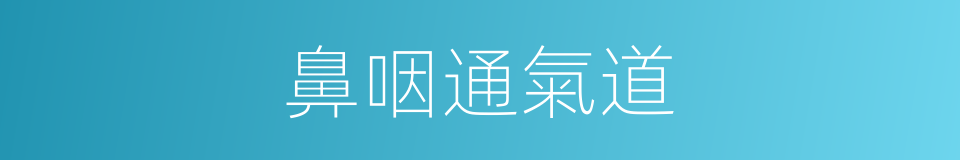 鼻咽通氣道的同義詞