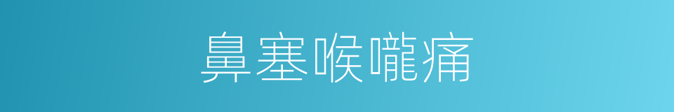 鼻塞喉嚨痛的同義詞