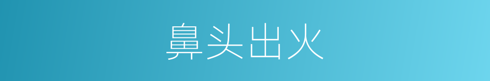 鼻头出火的意思