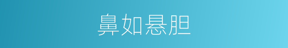 鼻如悬胆的意思