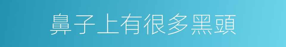 鼻子上有很多黑頭的同義詞