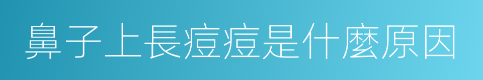 鼻子上長痘痘是什麼原因的同義詞