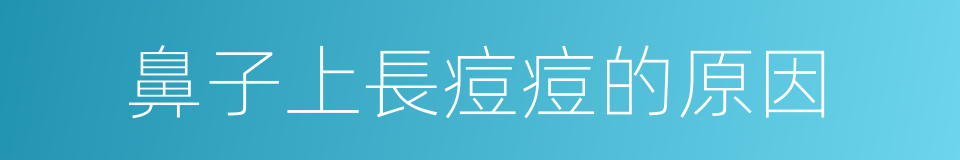 鼻子上長痘痘的原因的同義詞