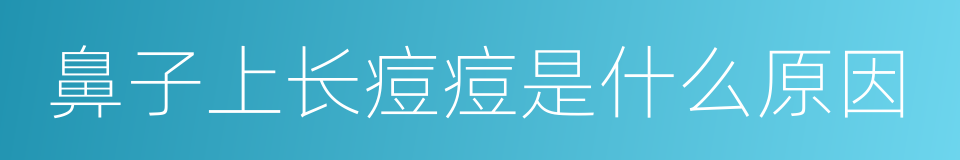 鼻子上长痘痘是什么原因的同义词