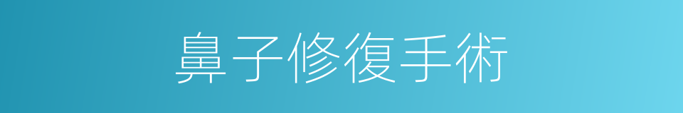 鼻子修復手術的同義詞