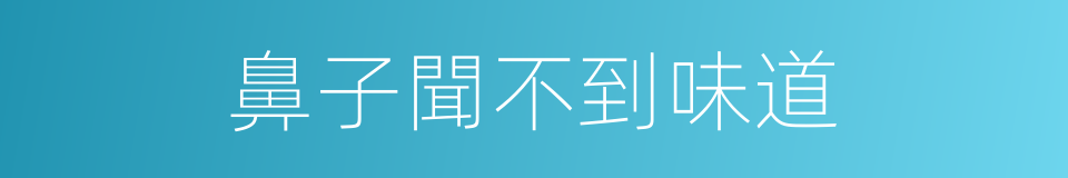 鼻子聞不到味道的同義詞