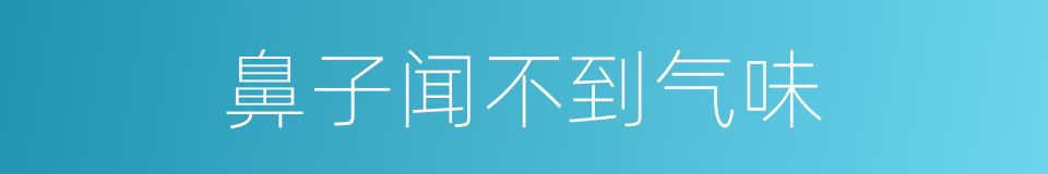 鼻子闻不到气味的同义词