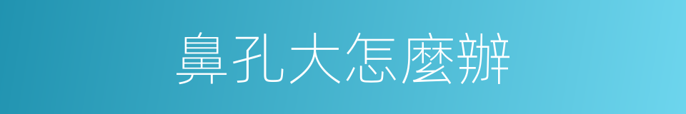 鼻孔大怎麼辦的同義詞