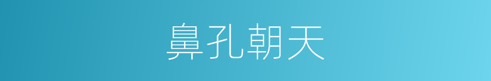 鼻孔朝天的意思