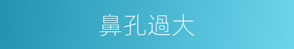 鼻孔過大的同義詞