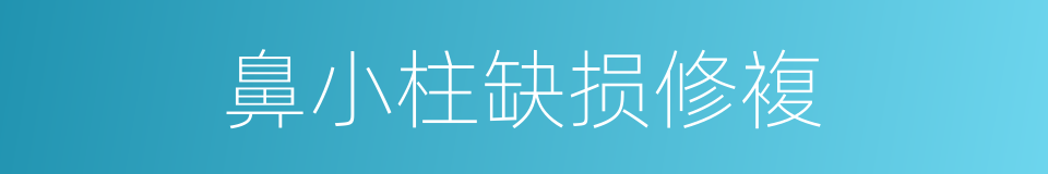 鼻小柱缺损修複的同义词
