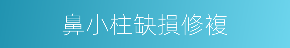鼻小柱缺損修複的同義詞