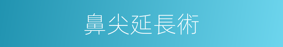 鼻尖延長術的同義詞