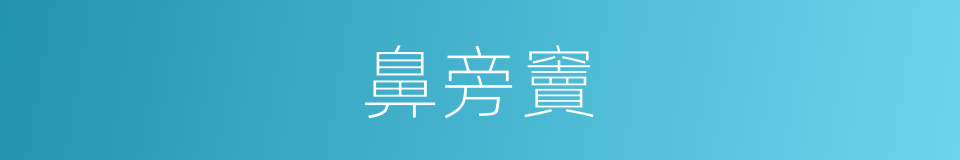 鼻旁竇的意思