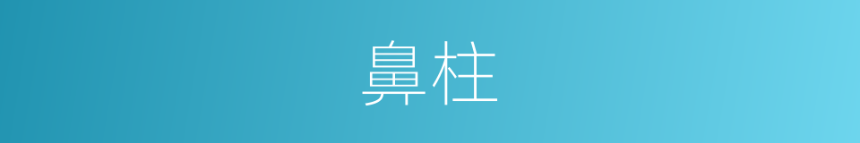鼻柱的意思