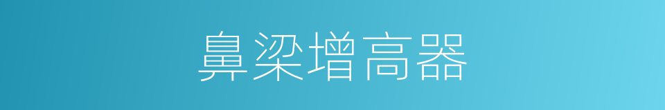 鼻梁增高器的同义词