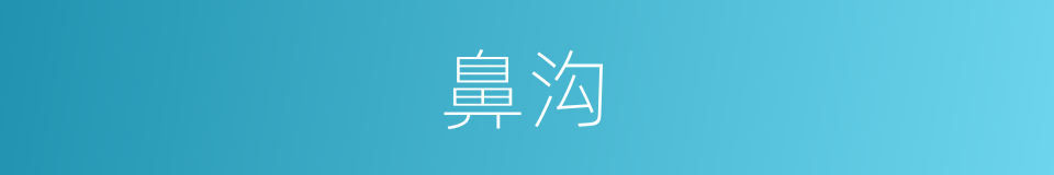鼻沟的意思