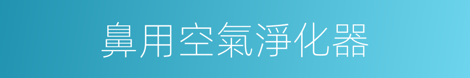 鼻用空氣淨化器的同義詞