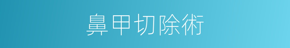 鼻甲切除術的同義詞