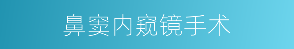 鼻窦内窥镜手术的同义词