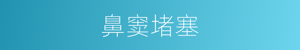 鼻窦堵塞的同义词