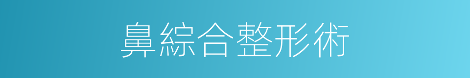 鼻綜合整形術的同義詞