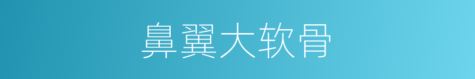 鼻翼大软骨的同义词