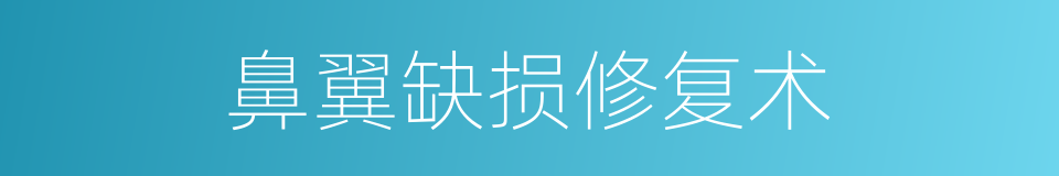 鼻翼缺损修复术的同义词