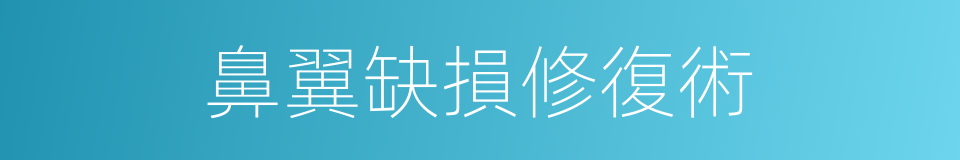 鼻翼缺損修復術的同義詞