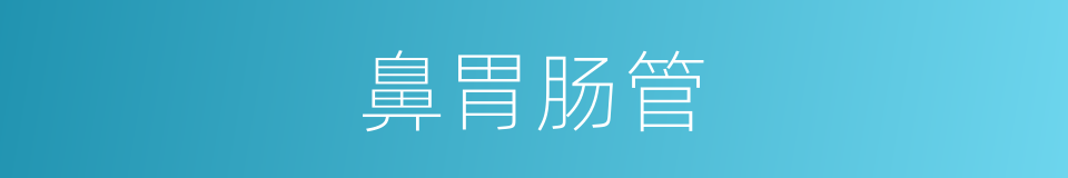 鼻胃肠管的同义词