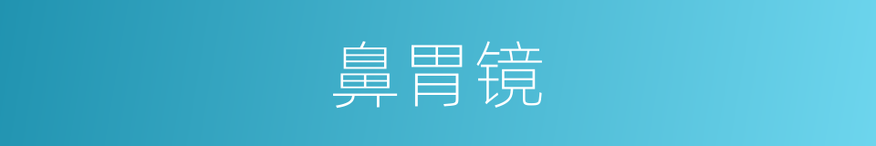 鼻胃镜的同义词