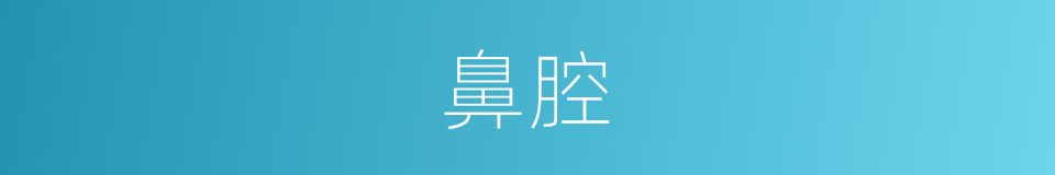 鼻腔的意思