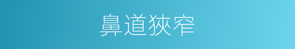 鼻道狹窄的同義詞