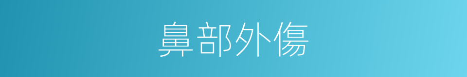 鼻部外傷的同義詞