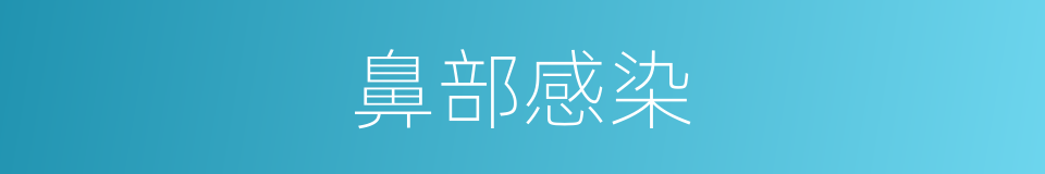 鼻部感染的同义词