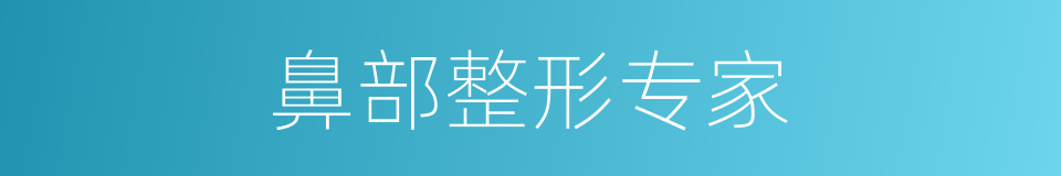 鼻部整形专家的同义词