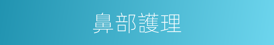 鼻部護理的同義詞