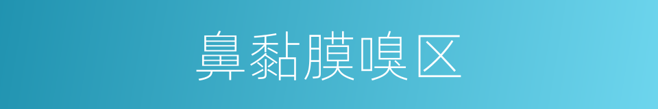 鼻黏膜嗅区的同义词