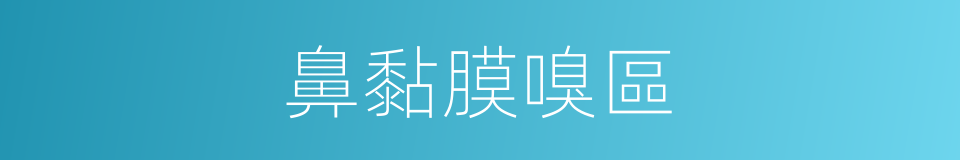 鼻黏膜嗅區的同義詞
