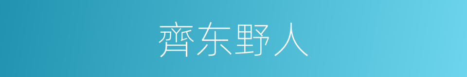 齊东野人的同义词