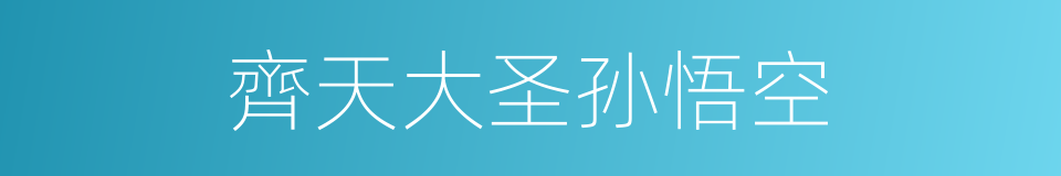 齊天大圣孙悟空的同义词