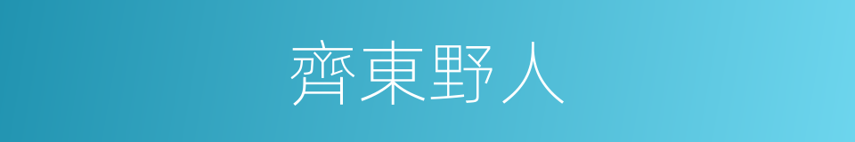 齊東野人的同義詞