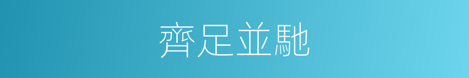 齊足並馳的同義詞