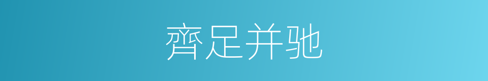 齊足并驰的同义词