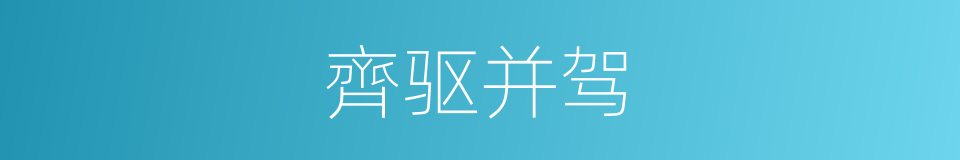 齊驱并驾的同义词