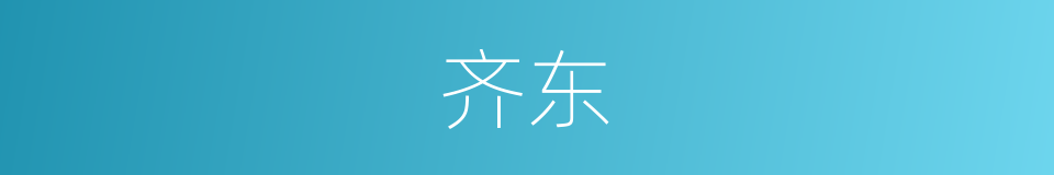 齐东的意思