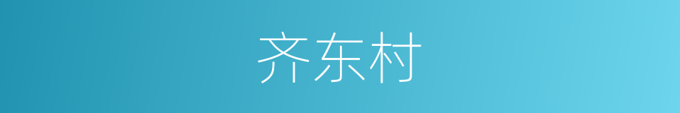 齐东村的同义词