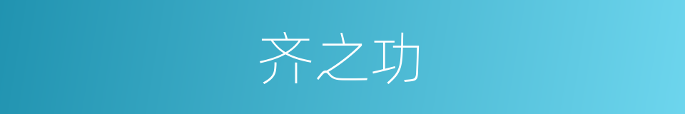齐之功的同义词