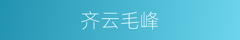 齐云毛峰的同义词